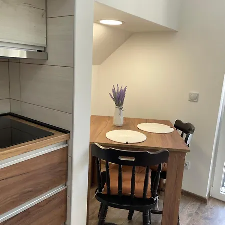 Vrla New * Vladičin Han