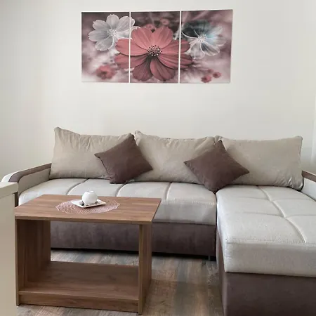 Vrla New Apartment Vladicin Han